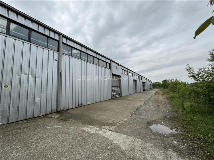 Vanzare depozit/hala/spatiu industrial/showroom/birouri Otopeni - Balotesti - DN - 4