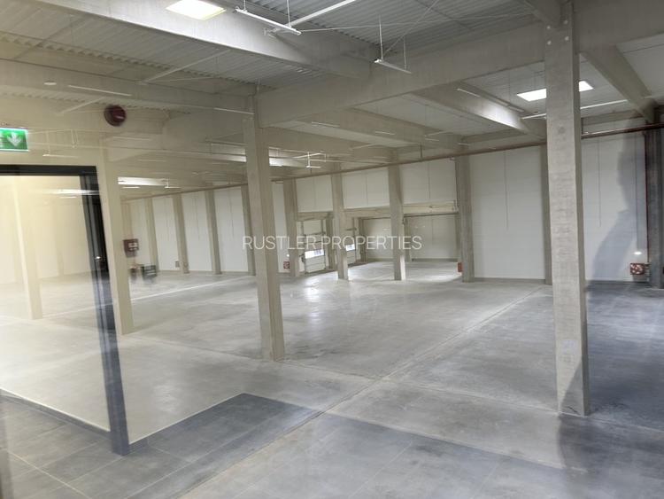 Hala Industriala - Constanta, Bulevardul I.C. Bratianu - 4