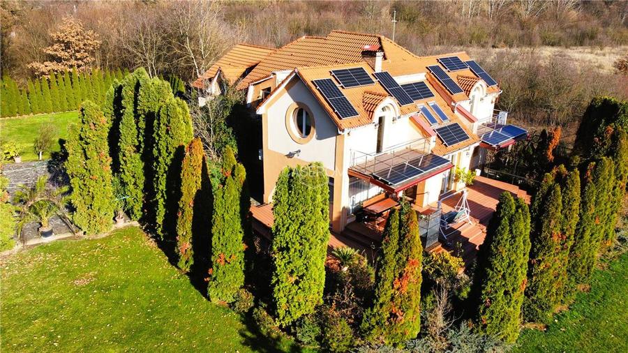 VIDEO | Domeniu privat la Padurea Noroieni | Vila D + P + M cu 9 camere | Curte, - 2