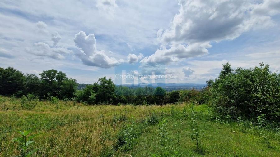 Teren Baia Sprie: 5143 mp, Parcelabil, Comision 0! - 6