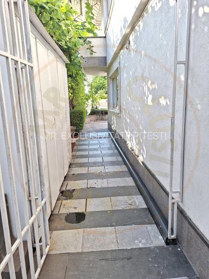 Casa Pitesti Exercitiu zona centrala - 14