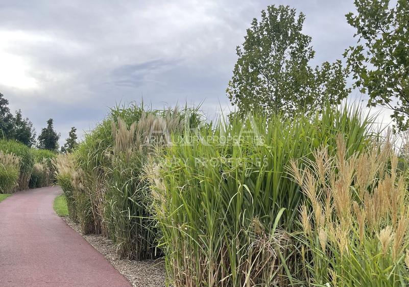 Dumbrava Vlasiei – Armonie între design, lumină și natură - 11