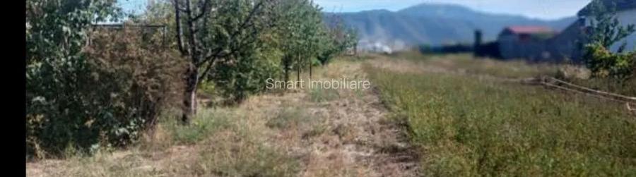 Teren 934 mp Ghimbav - 4