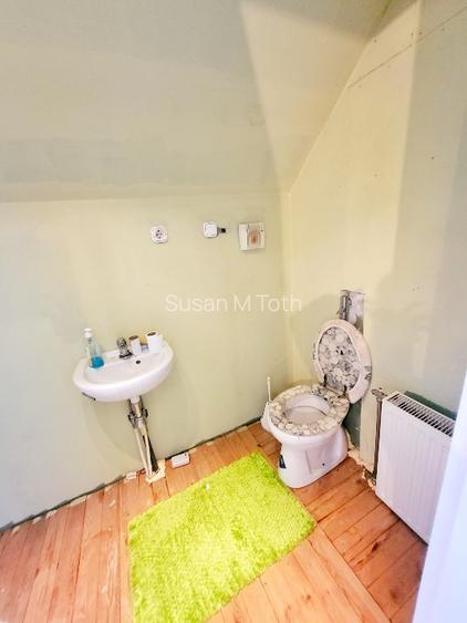 Domeniu premium aproape de granița româno-ungară –în Battonya - 11