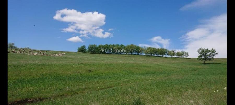 Reco  Teren extravilan Tileagd - 4