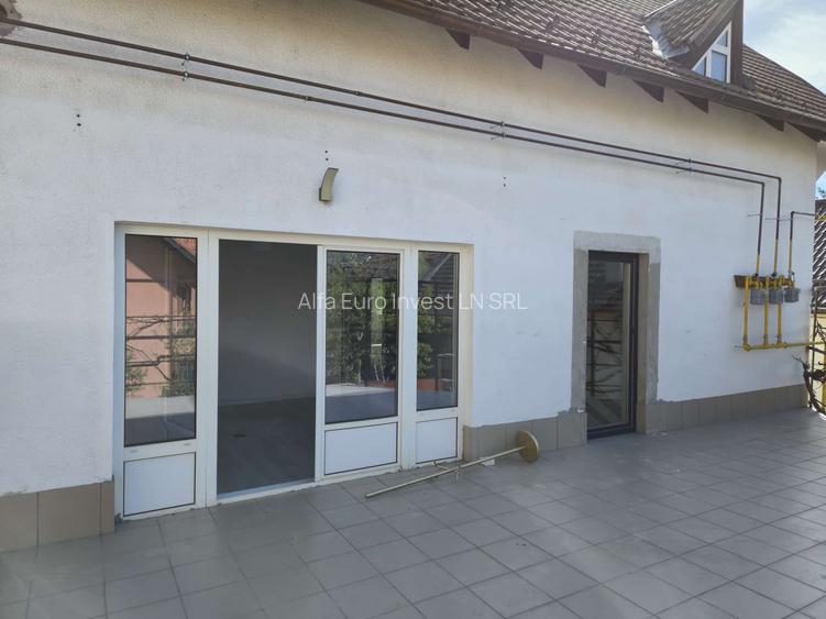 Spatii comerciale de inchiriat - 11