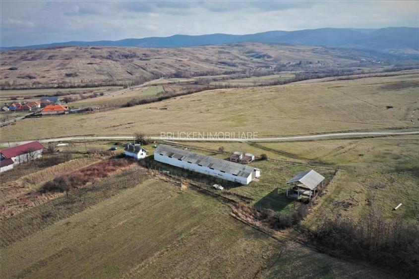 MICRO-FERMA + CASA IN VOIVOZI - BIHOR - 5