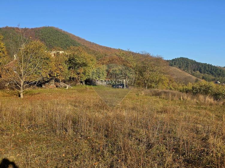 Teren 6,874mp Alexandru cel Bun / Strada plopusor - 13