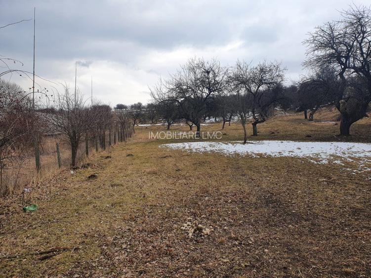 Teren Construcții extravilan de 10000 mp, în Bod - 9