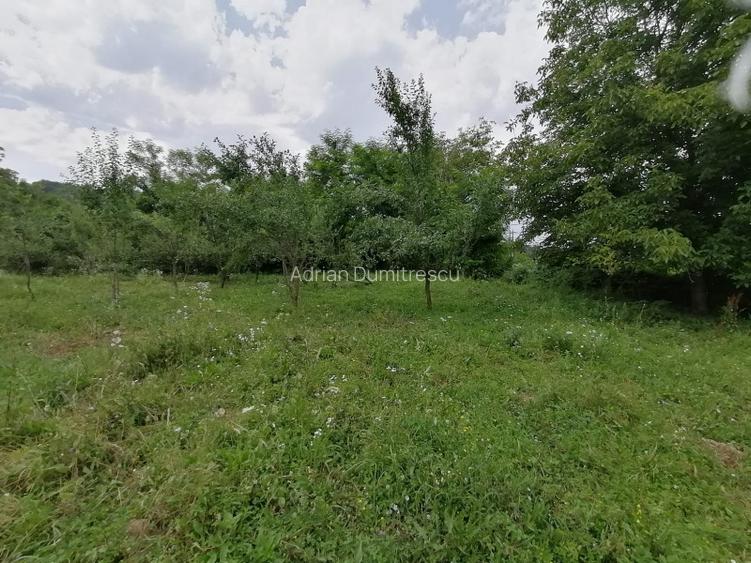 Curte 1512/3025mp , Bughea de Jos, 5 min Valeni PH - 16