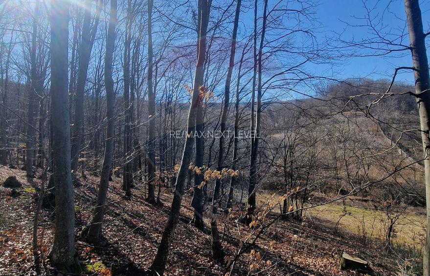 Teren de Vânzare în Pâncești (Sascut) - 11