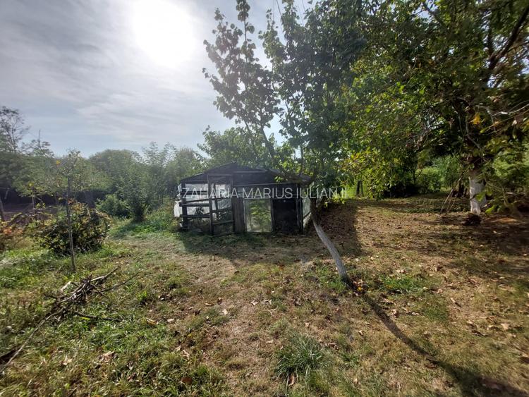 PROPRIETATE SUPERBA IN BIBIRESTI - 9