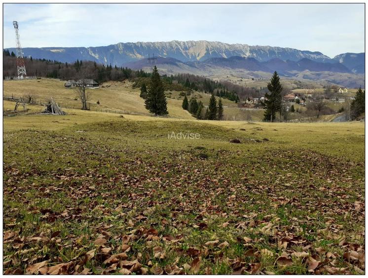 Teren Cu Priveliste Panoramica Si Acces Din Drumul Principal - 5