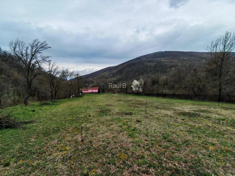 Casa cu teren 12000 + priveliște superbă  - 2