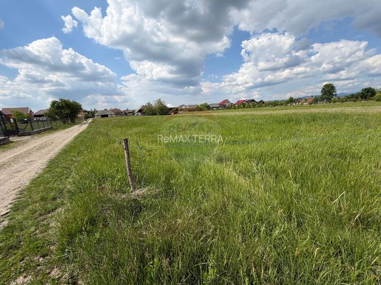 Loc casa  / investitie / parcelare - TEREN in Mogosesti - 6