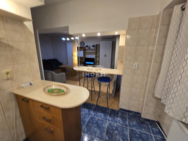 Inchiriere garsoniera spatioasa zona republicii Catedrala - 18