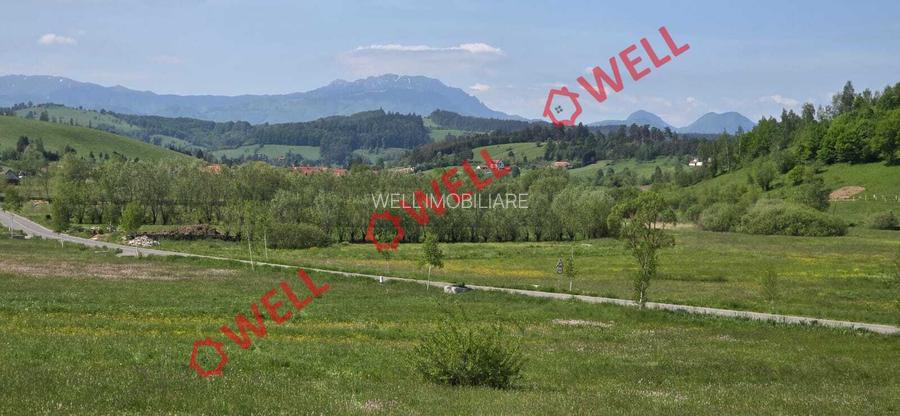 Teren de vânzare în Bărcani, pe strada Bisericii! - 6