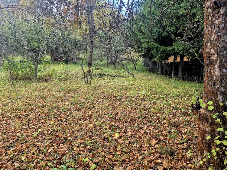 Casa de vacanta Timisu de Sus/Brasov/Oportunitate investitie - 21