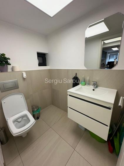 SAD stradal Cozia , parter – birou / servicii / comercial - 8