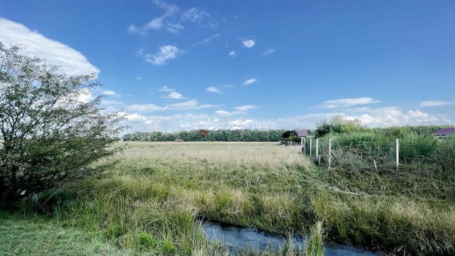 Teren Extravilan - 8