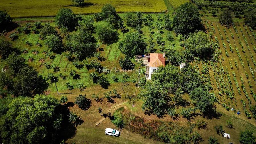 Investiție rară în Bihor - 5