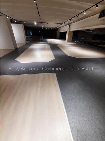 Spatii Comerciale - 500 mp - Showroom - Comert - 22