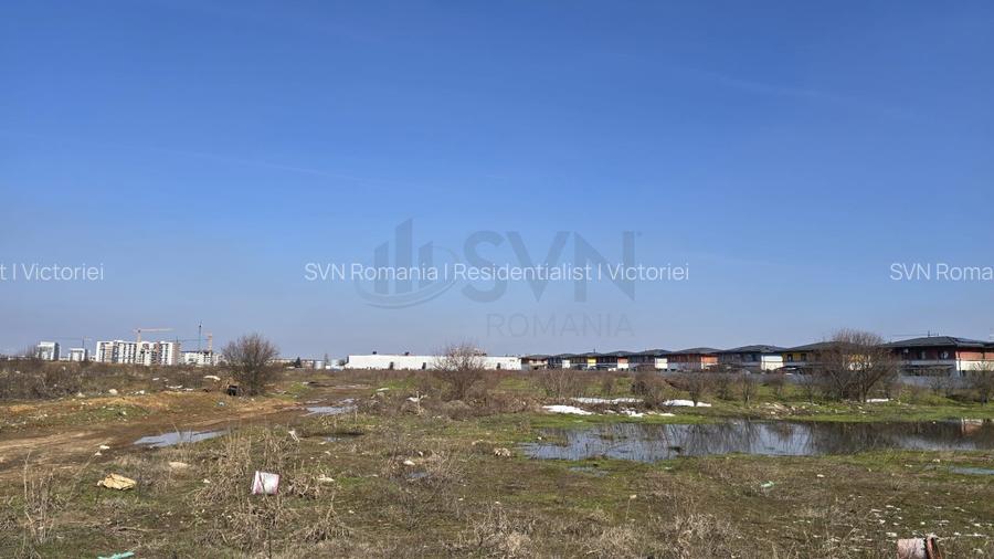 REL4001285 Teren investitie I Berceni - 3