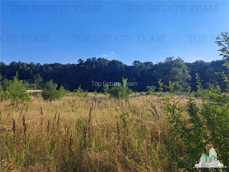 Casa cu teren 3579mp in com. Cascioarele, Jud. Giurgiu - 5