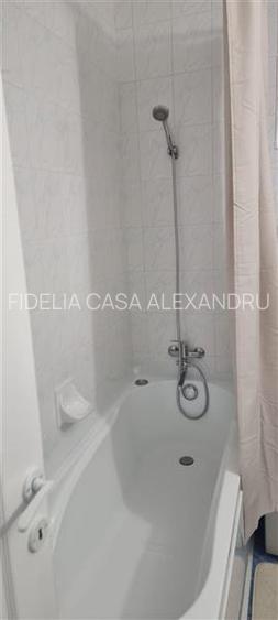 Apartament 4 camere, 2 bai, terasa - de inchiriat - Copou - 32