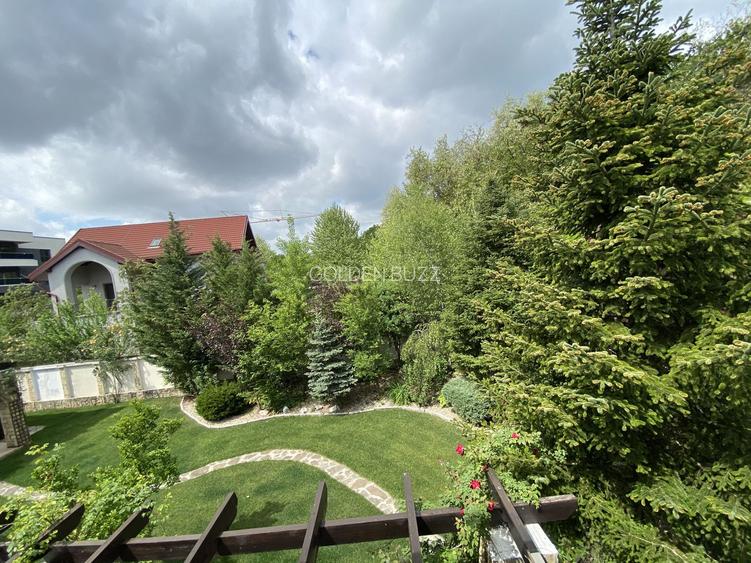 Vila superba - 7 camere - vanzare - Iancu Nicolae - Padurea Baneasa - 12