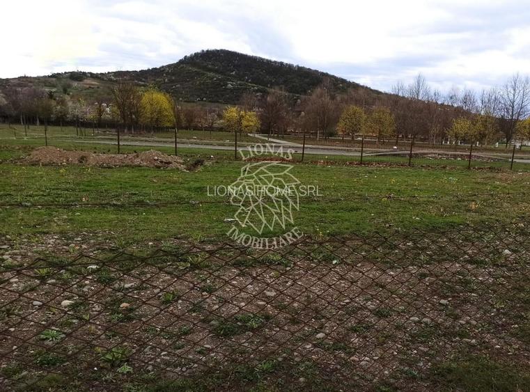 Teren intravilan 1000 mp-ideal locuinte P+4/Hala/Institutii-Viisoara - 2