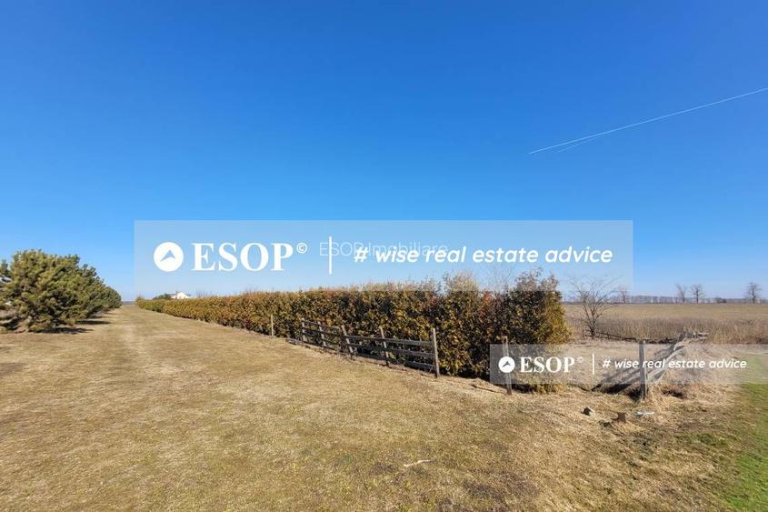 Teren de vanzare, Dascalu, ID 15402 - 7