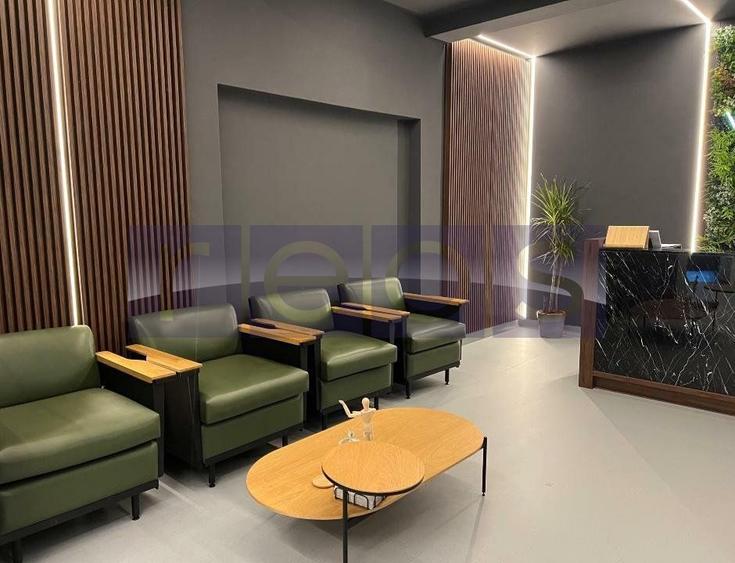 VANZARE VILA KISELEFF 365MP | CURTE 90MP | IDEAL INVESTITIE - 2