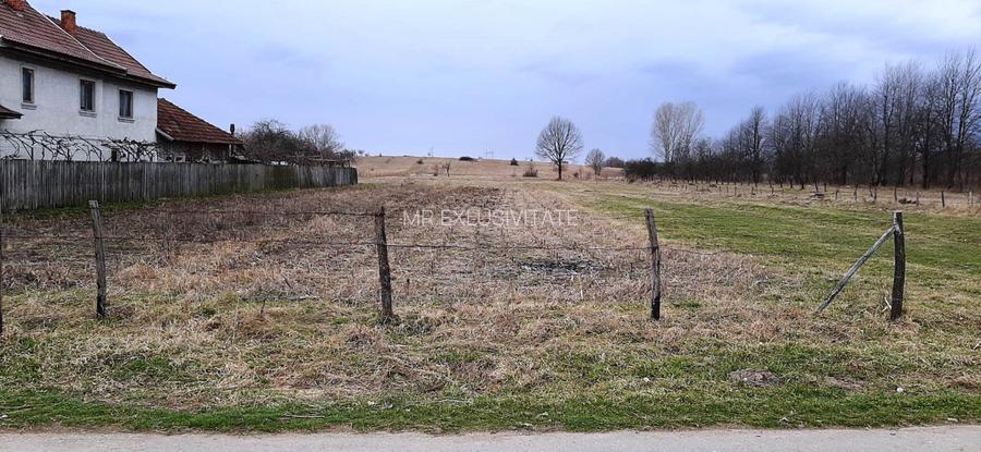 TEREN INTRAVILAN SI EXTRAVILAN POLOVRAGI - BENGEASCA - 4