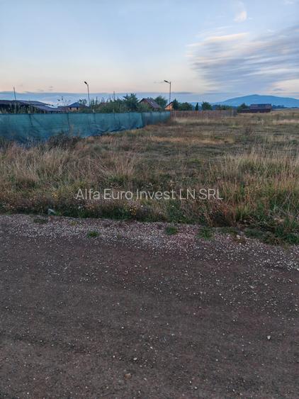 Teren Intravilan de vanzare - 2