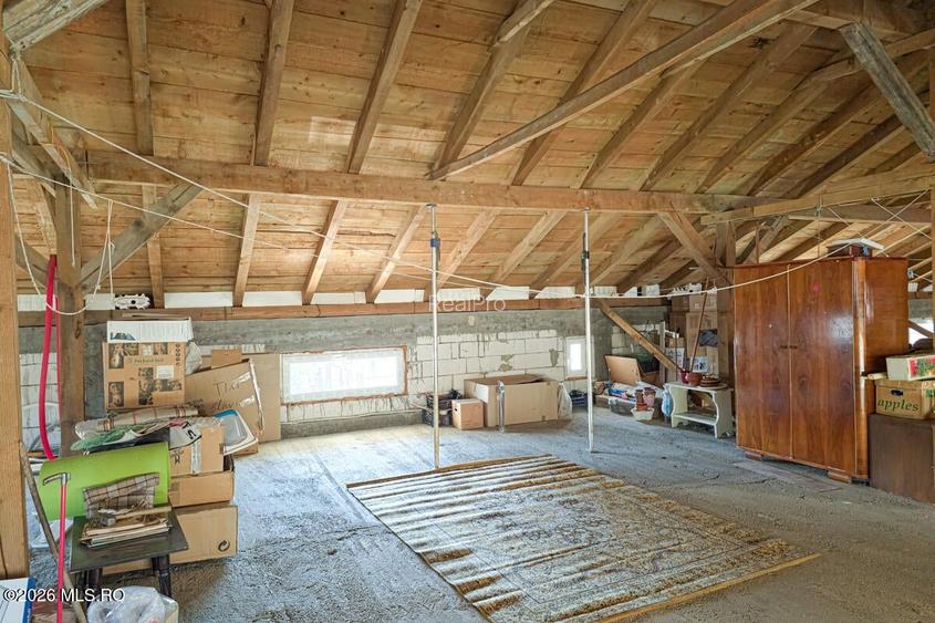 Lunei - Ion Neculce, 2 Apartamente. Mansarda 157 mp. Anexe, Lot 475 mp - 36