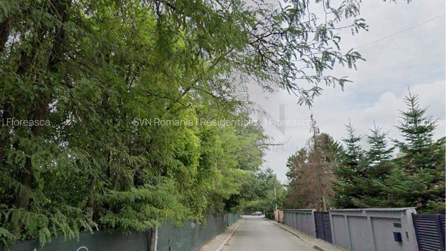 REL4001134 Teren Pipiera I 2834 mp - 3