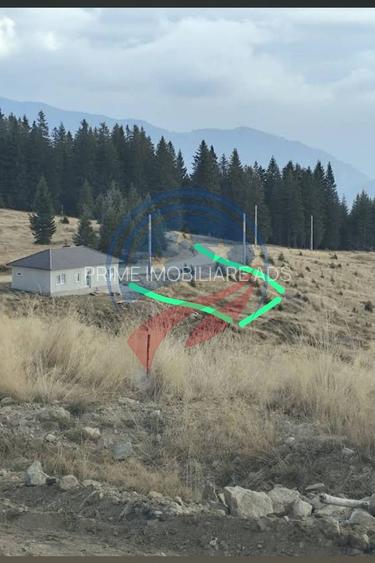 Teren de vanzare in Horezu/Bolca Pietrele Scrise/Valcea - 2