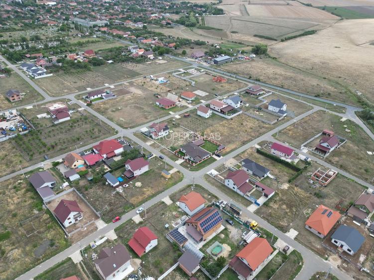 Casa la gri in Frumuseni - 13