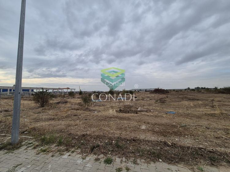 Teren Chitila - 8.700 mp - pretabil pentru hale - 5