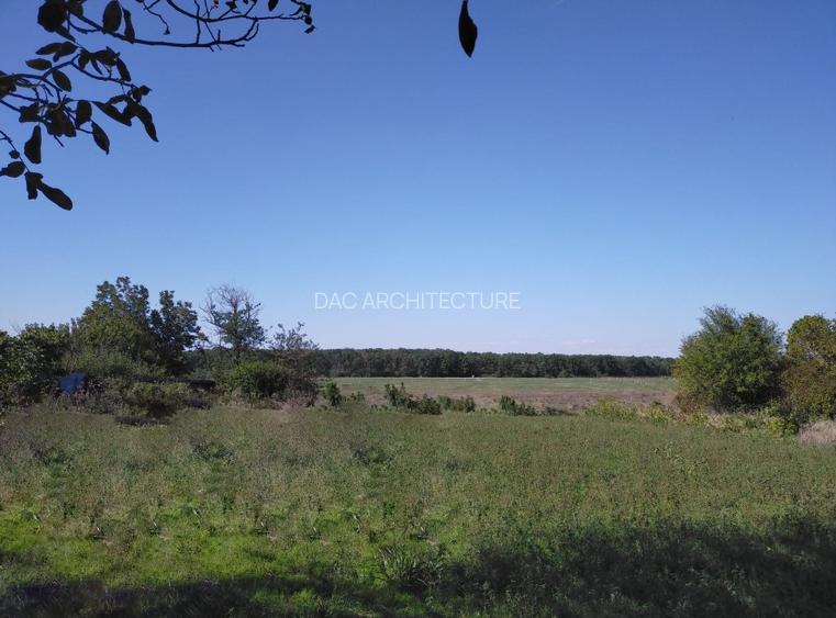 TEREN INTRAVILAN 1950 MP MOARA VLASIEI LA LAC - 4