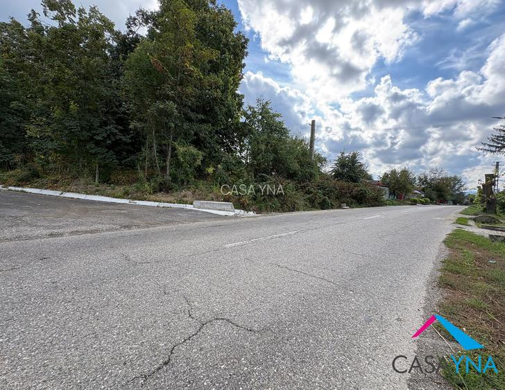 Lot teren 8.344 mp - Deschidere la 3 drumuri - Buhoci! - 2