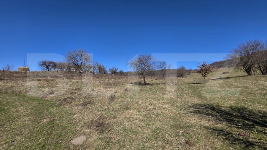 Teren de vanzare de 8,567MP in zona: Tarpiului