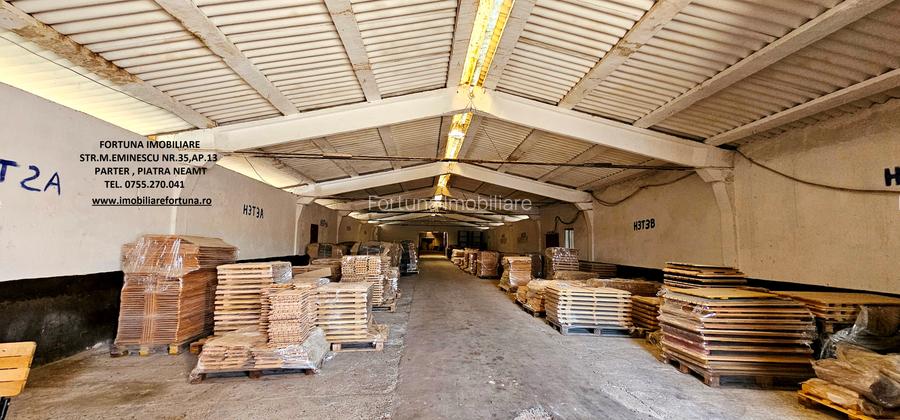 Complex imobiliar format din cladiri si constructii industriale+teren intravilan - 18