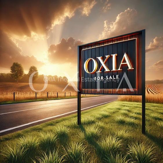 OX727 Teren 647 mp | ideal duplex | Dumbravita - 3