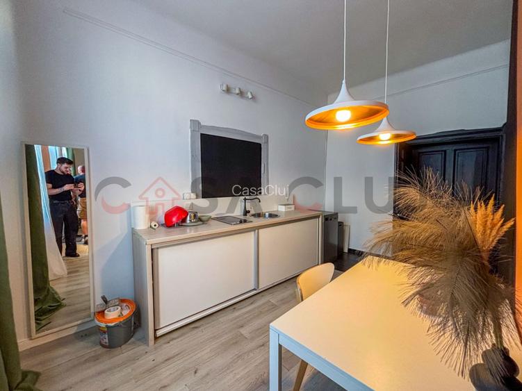 Studio langa Parcul Feroviarilor cu gradina proprie - 3
