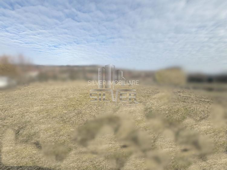 Teren intravilan/1917 mp/zona strazii Ion Creanga. - 2