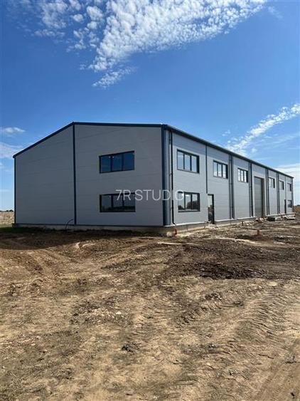 Vanzare Hala Noua Dascalu, plus teren - 5