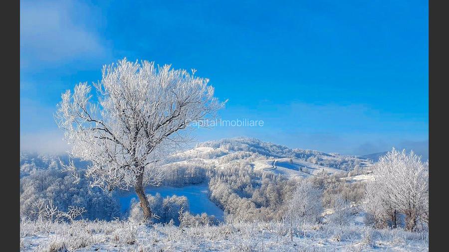 Teren intravilan  in Sohodol , Alba  - 5
