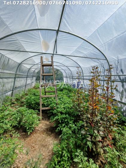 Casa situata in Samarinesti, sat Valea Bisericii - 13